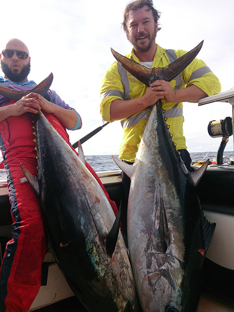 ANGLER: Hilly Awad and Curtis Smith SPECIES: Southern Bluefin Tuna.  WEIGHT: 68kg and 71kg. LURE: JB Lures, pink evil Chook and saury Little Dingo